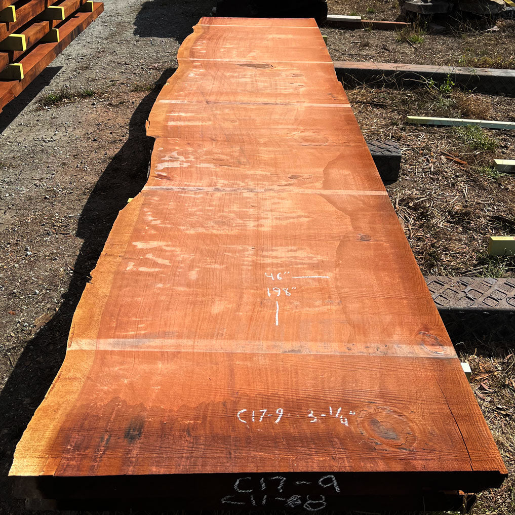 Giant Sequoia Live Edge Slab – 16.5' x 46" x 3.25" – Old Growth, Air-Dried – #C17-9