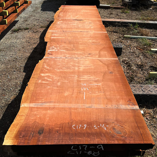 Giant Sequoia Live Edge Slab – 16.5' x 46" x 3.25" – Old Growth, Air-Dried – #C17-9