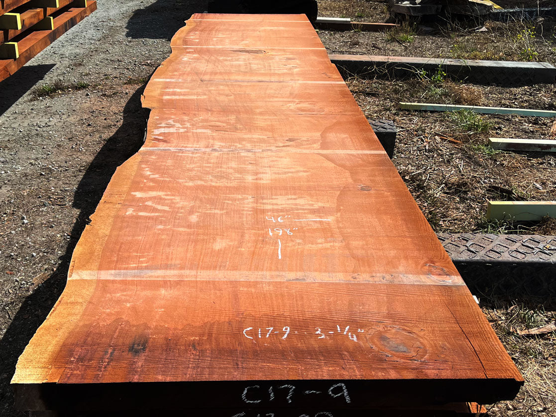 Giant Sequoia Live Edge Slab – 16.5' x 46" x 3.25" – Old Growth, Air-Dried – #C17-9