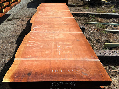 Giant Sequoia Live Edge Slab – 16.5' x 46" x 3.25" – Old Growth, Air-Dried – #C17-9