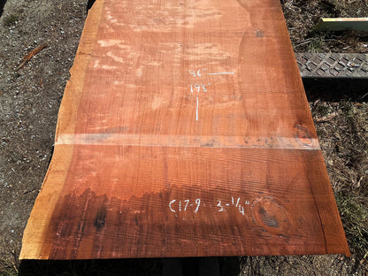 Giant Sequoia Live Edge Slab – 16.5' x 46" x 3.25" – Old Growth, Air-Dried – #C17-9