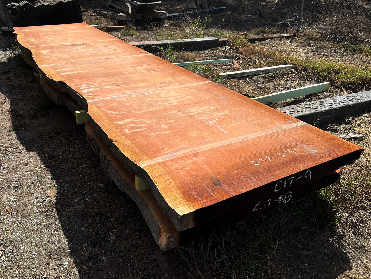 Giant Sequoia Live Edge Slab – 16.5' x 46" x 3.25" – Old Growth, Air-Dried – #C17-9
