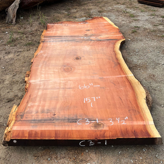 Giant Sequoia Live Edge Slab – 13.08' x 72" x 3.5" – Old Growth, Air-Dried – #C3-1