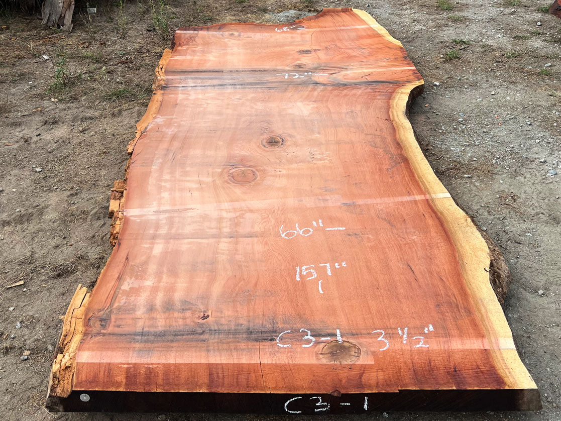 Giant Sequoia Live Edge Slab – 13.08' x 72" x 3.5" – Old Growth, Air-Dried – #C3-1