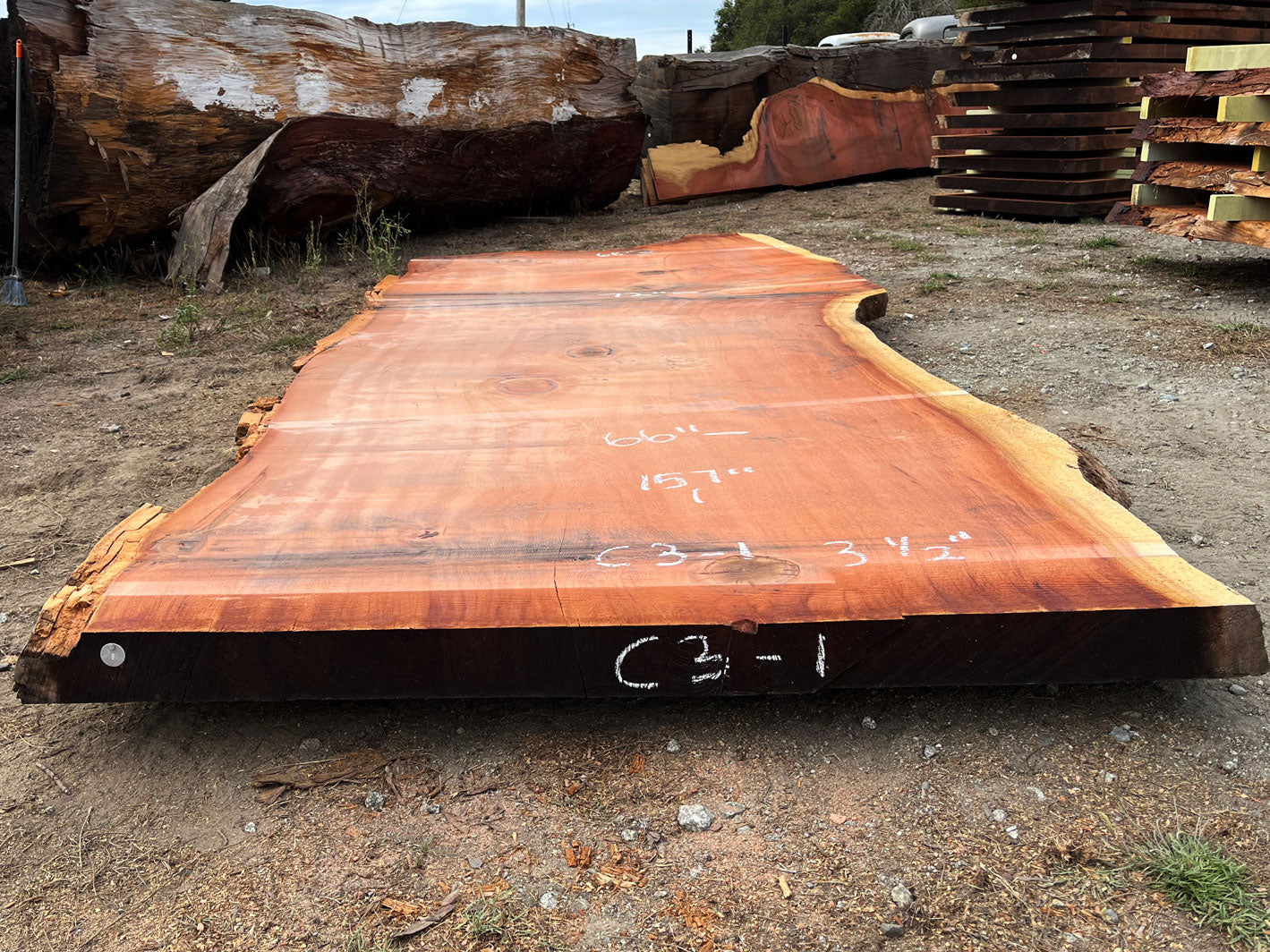 Giant Sequoia Live Edge Slab – 13.08' x 72" x 3.5" – Old Growth, Air-Dried – #C3-1