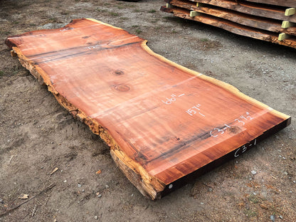 Giant Sequoia Live Edge Slab – 13.08' x 72" x 3.5" – Old Growth, Air-Dried – #C3-1