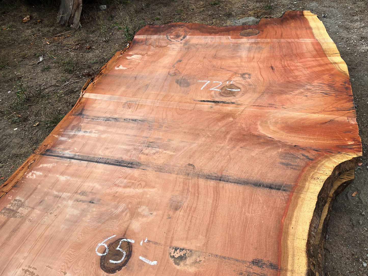 Giant Sequoia Live Edge Slab – 13' x 72" x 3" – Old Growth, Air-Dried – #C3-2