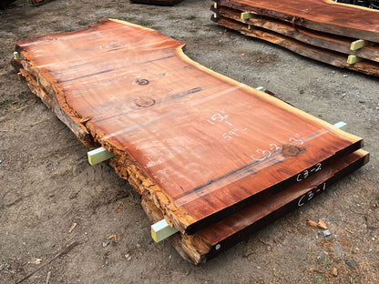 Giant Sequoia Live Edge Slab – 13' x 72" x 3" – Old Growth, Air-Dried – #C3-2