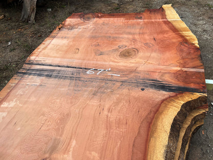 Giant Sequoia Live Edge Slab – 13' x 67" x 3.25" – Old Growth, Air-Dried – #C3-3