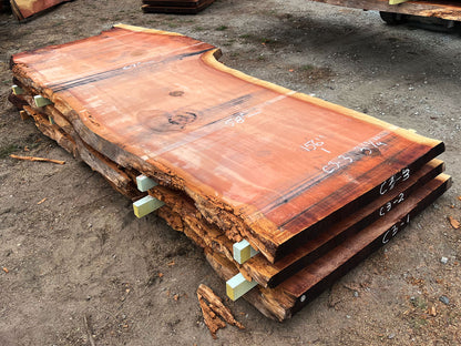 Giant Sequoia Live Edge Slab – 13' x 67" x 3.25" – Old Growth, Air-Dried – #C3-3