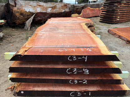 Giant Sequoia Live Edge Slab – 12.92' x 67" x 3.125" – Old Growth, Air-Dried – #C3-4