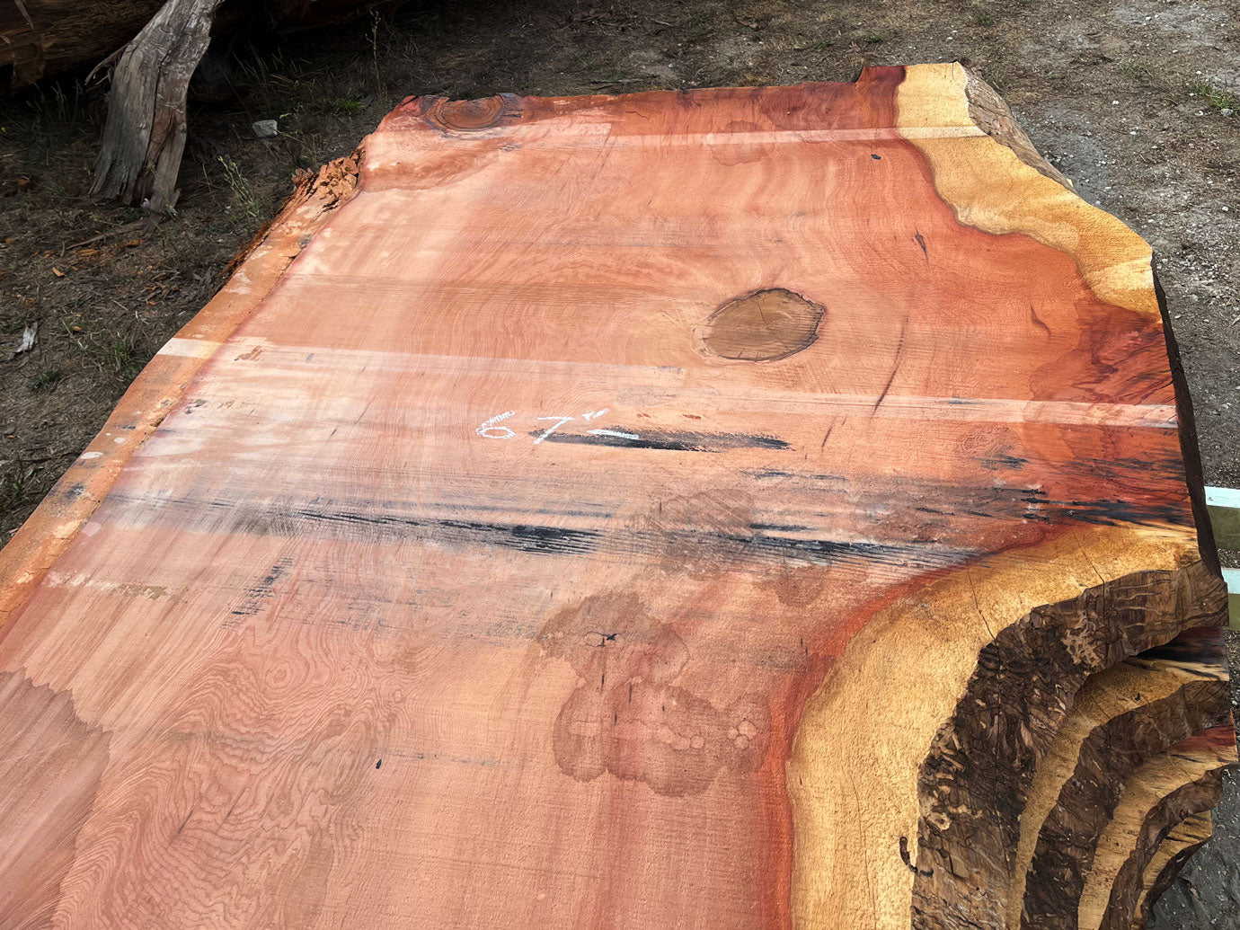 Giant Sequoia Live Edge Slab – 12.92' x 67" x 3.125" – Old Growth, Air-Dried – #C3-4