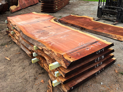 Giant Sequoia Live Edge Slab – 12.92' x 67" x 3.125" – Old Growth, Air-Dried – #C3-4