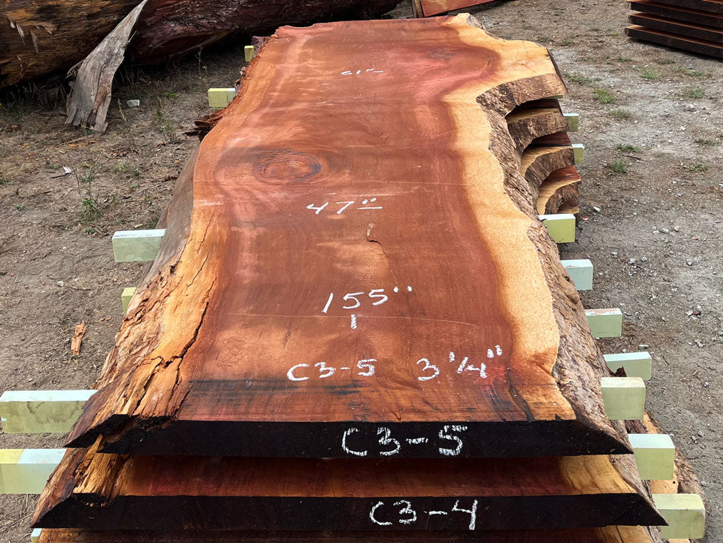 Giant Sequoia Live Edge Slab – 12.92' x 61" x 3.25" – Old Growth, Air-Dried – #C3-5