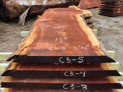 Giant Sequoia Live Edge Slab – 12.92' x 61" x 3.25" – Old Growth, Air-Dried – #C3-5