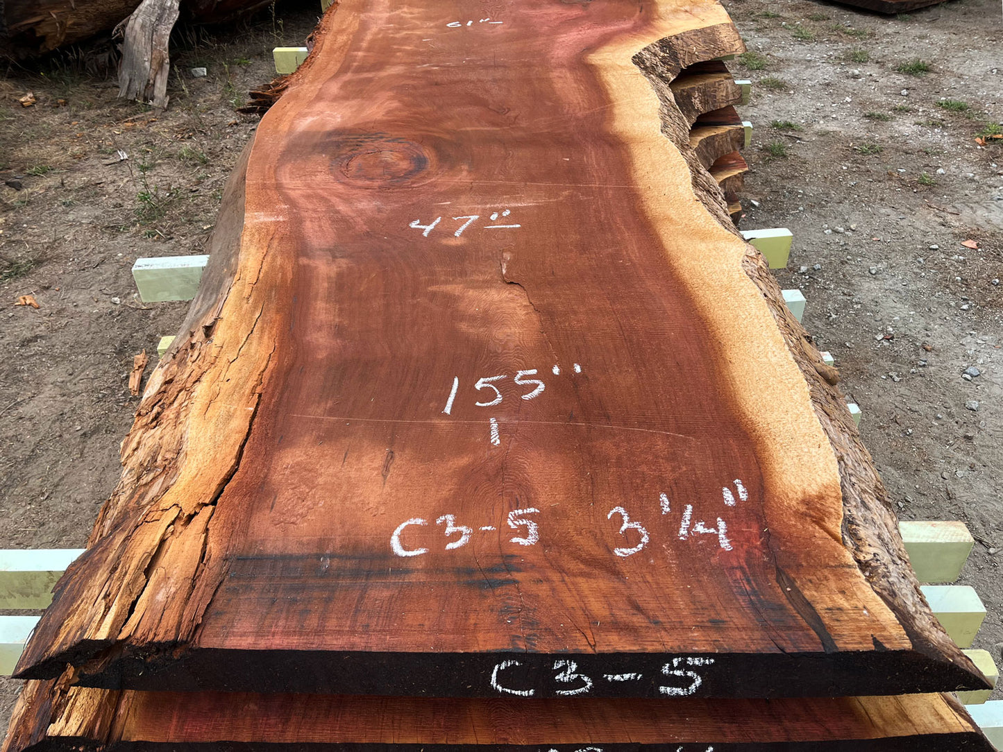 Giant Sequoia Live Edge Slab – 12.92' x 61" x 3.25" – Old Growth, Air-Dried – #C3-5