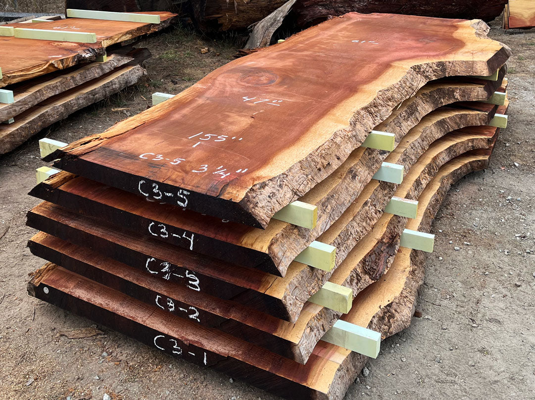 Giant Sequoia Live Edge Slab – 12.92' x 61" x 3.25" – Old Growth, Air-Dried – #C3-5
