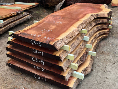 Giant Sequoia Live Edge Slab – 12.92' x 61" x 3.25" – Old Growth, Air-Dried – #C3-5