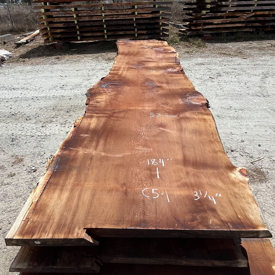 Giant Sequoia Live Edge Slab – 15.33' x 53" x 3.25" – Old Growth, Air-Dried – #C5-1