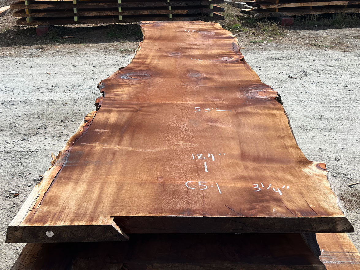 Giant Sequoia Live Edge Slab – 15.33' x 53" x 3.25" – Old Growth, Air-Dried – #C5-1