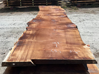 Giant Sequoia Live Edge Slab – 15.33' x 53" x 3.25" – Old Growth, Air-Dried – #C5-1