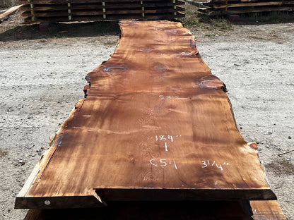 Giant Sequoia Live Edge Slab – 15.33' x 53" x 3.25" – Old Growth, Air-Dried – #C5-1