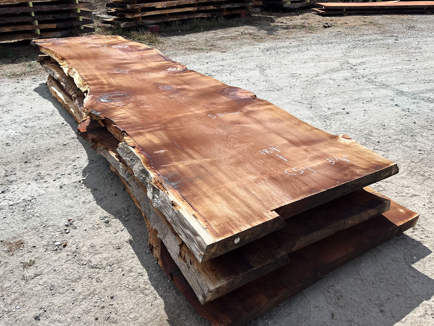 Giant Sequoia Live Edge Slab – 15.33' x 53" x 3.25" – Old Growth, Air-Dried – #C5-1