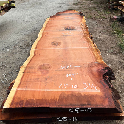 Giant Sequoia Live Edge Slab – 16' x 60" x 3.25" – Old Growth, Air-Dried – #C5-10