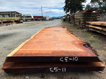 Giant Sequoia Live Edge Slab – 16' x 60" x 3.25" – Old Growth, Air-Dried – #C5-10
