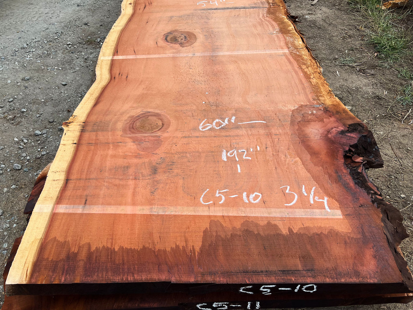 Giant Sequoia Live Edge Slab – 16' x 60" x 3.25" – Old Growth, Air-Dried – #C5-10