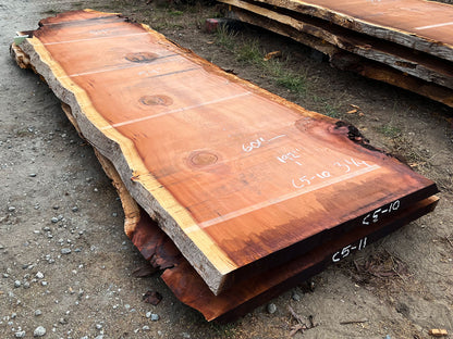 Giant Sequoia Live Edge Slab – 16' x 60" x 3.25" – Old Growth, Air-Dried – #C5-10