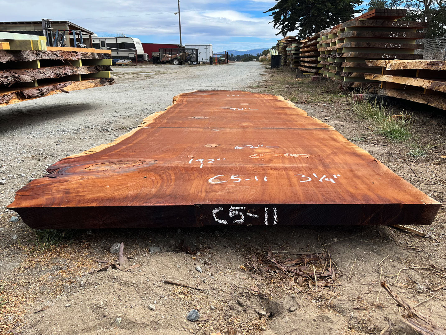 Giant Sequoia Live Edge Slab – 16' x 62" x 3.25" – Old Growth, Air-Dried – #C5-11