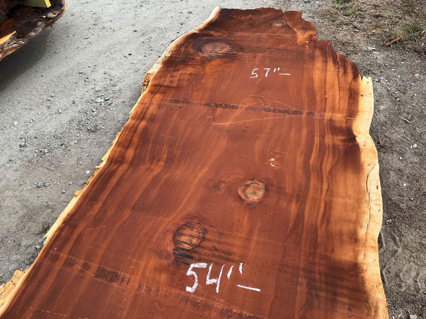 Giant Sequoia Live Edge Slab – 16' x 62" x 3.25" – Old Growth, Air-Dried – #C5-11