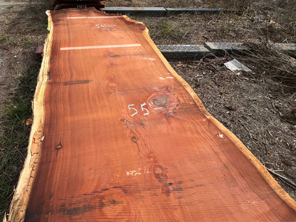 Giant Sequoia Live Edge Slab – 14.75' x 59" x 3.256" – Old Growth, Air-Dried – #C5-12