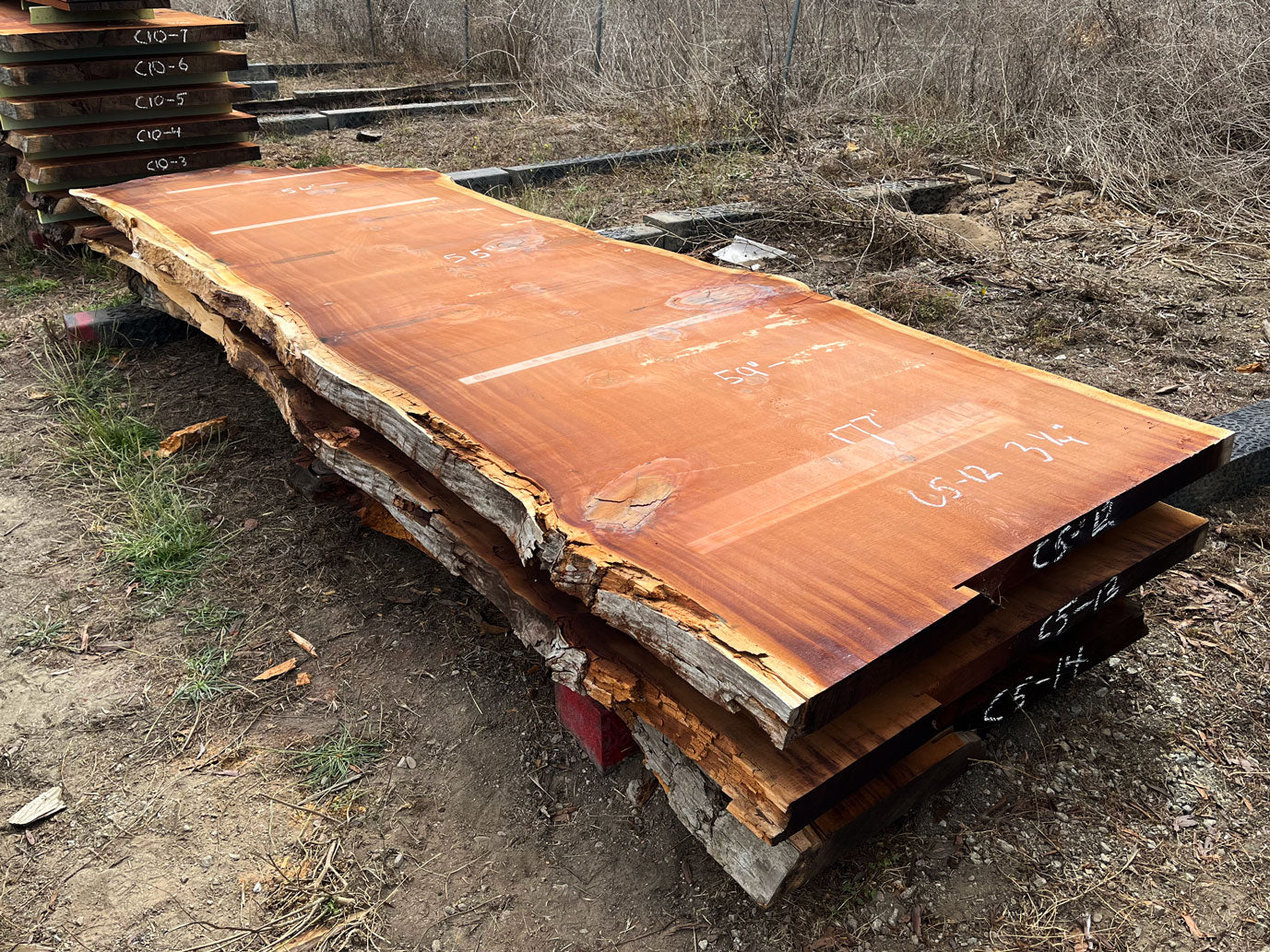 Giant Sequoia Live Edge Slab – 14.75' x 59" x 3.256" – Old Growth, Air-Dried – #C5-12