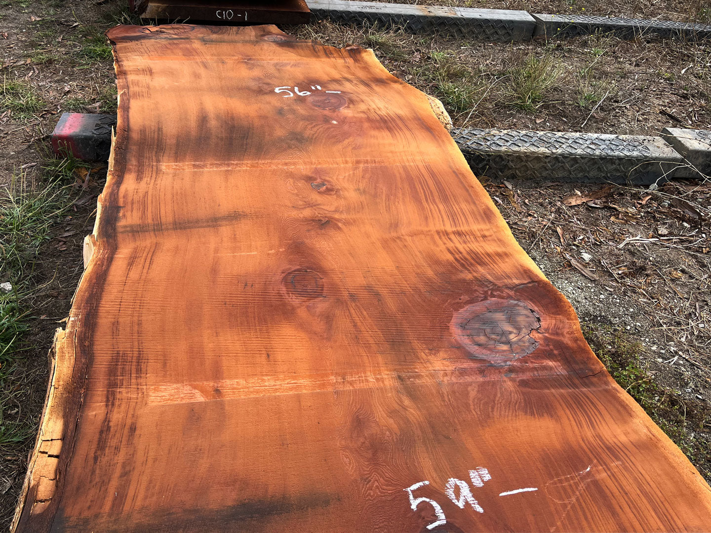 Giant Sequoia Live Edge Slab – 15.83' x 59" x 3" – Old Growth, Air-Dried – #C5-13