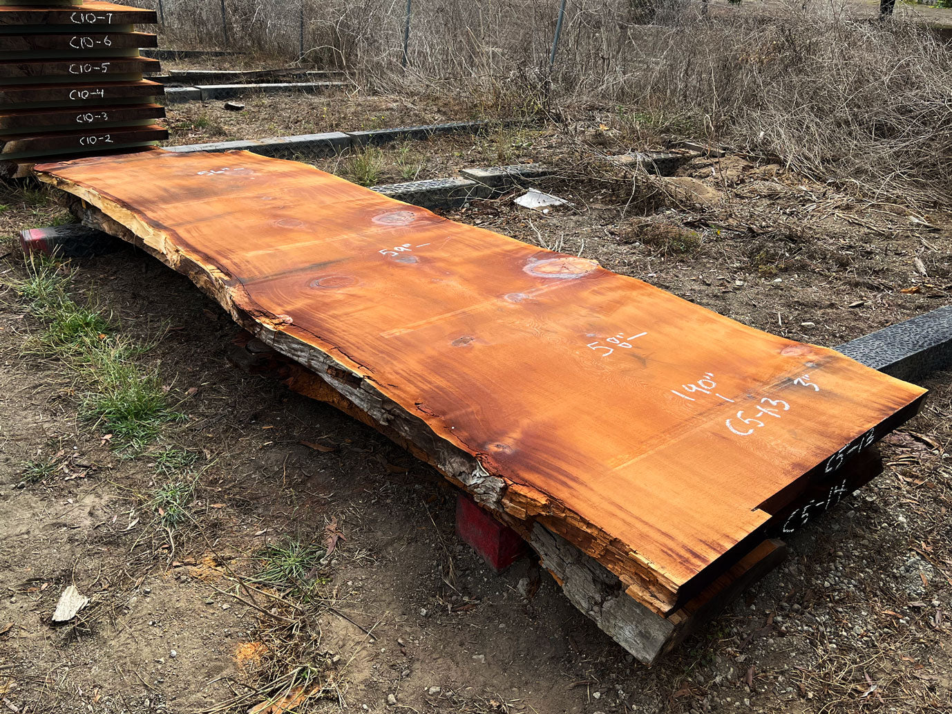 Giant Sequoia Live Edge Slab – 15.83' x 59" x 3" – Old Growth, Air-Dried – #C5-13