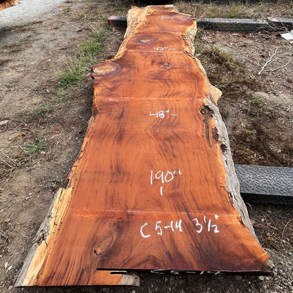 Giant Sequoia Live Edge Slab – 15.83' x 48" x 3.5" – Old Growth, Air-Dried – #C5-14