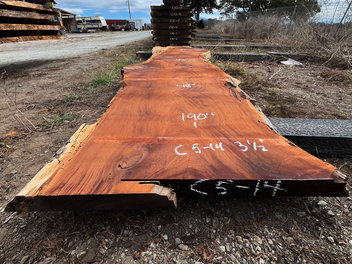 Giant Sequoia Live Edge Slab – 15.83' x 48" x 3.5" – Old Growth, Air-Dried – #C5-14