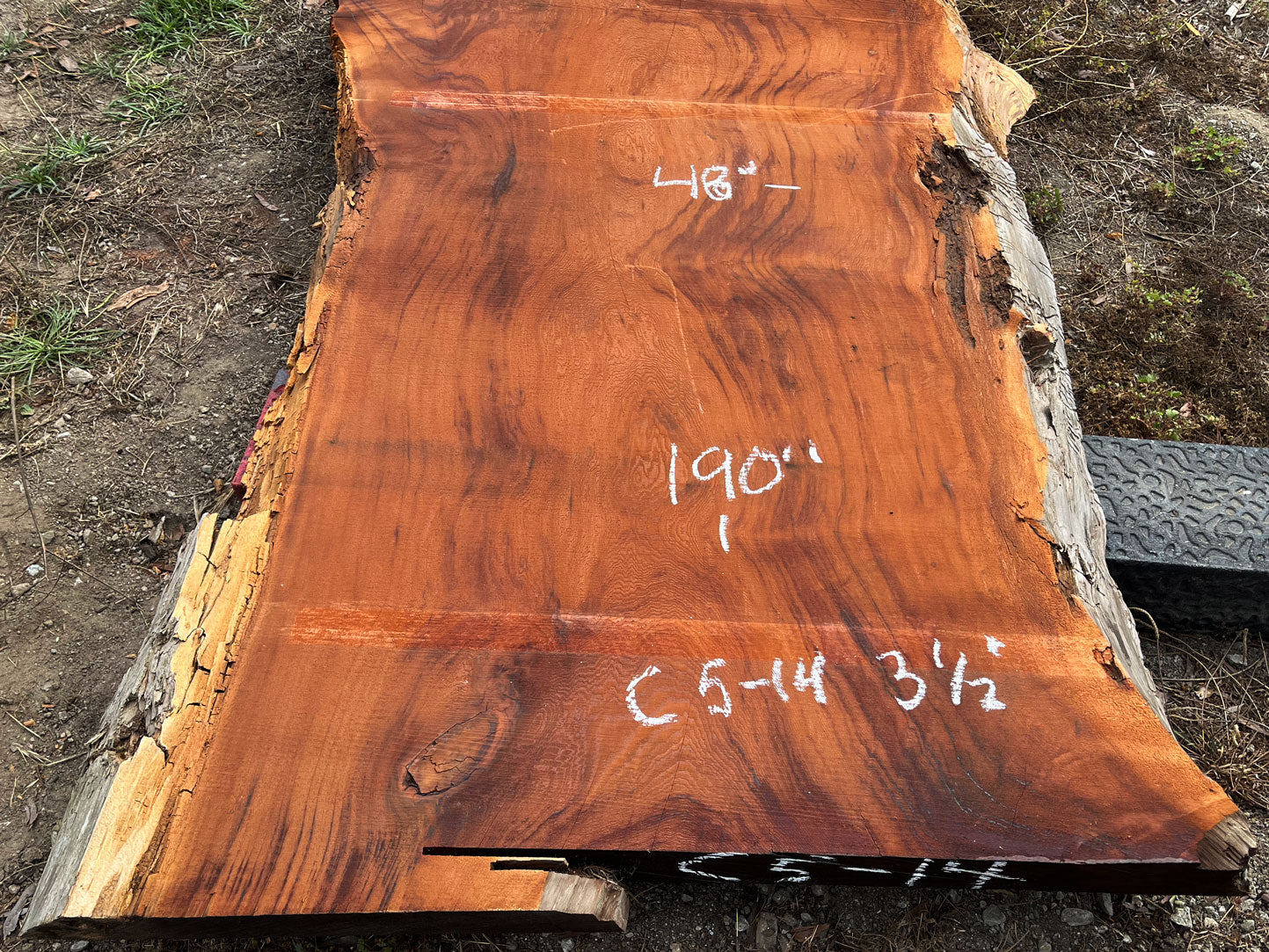 Giant Sequoia Live Edge Slab – 15.83' x 48" x 3.5" – Old Growth, Air-Dried – #C5-14