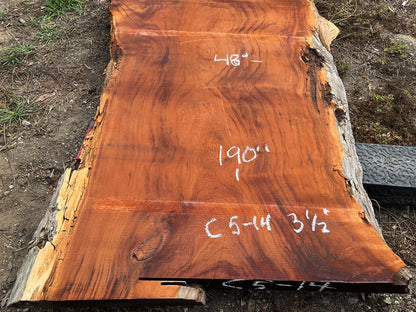 Giant Sequoia Live Edge Slab – 15.83' x 48" x 3.5" – Old Growth, Air-Dried – #C5-14