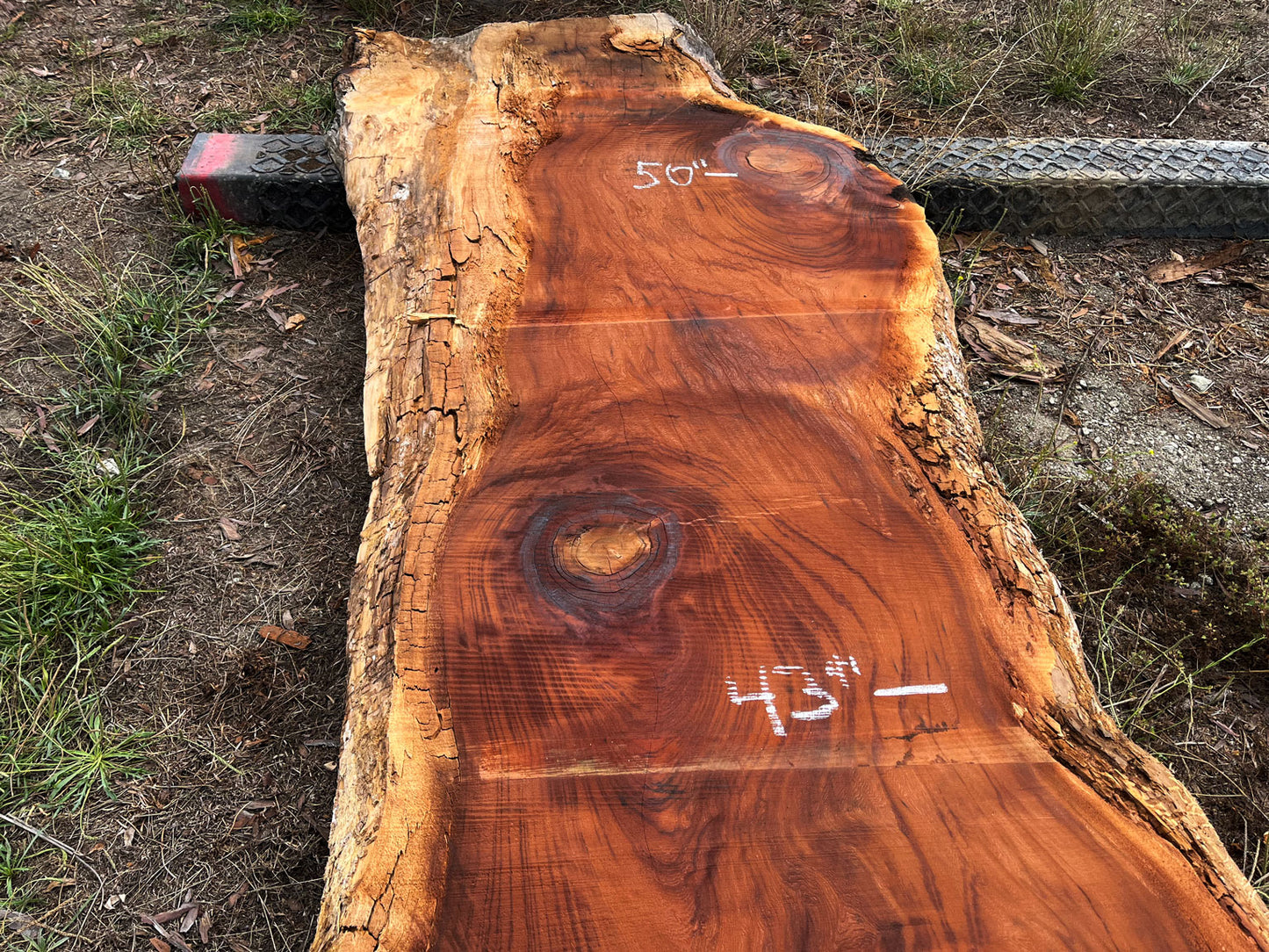 Giant Sequoia Live Edge Slab – 15.83' x 48" x 3.5" – Old Growth, Air-Dried – #C5-14
