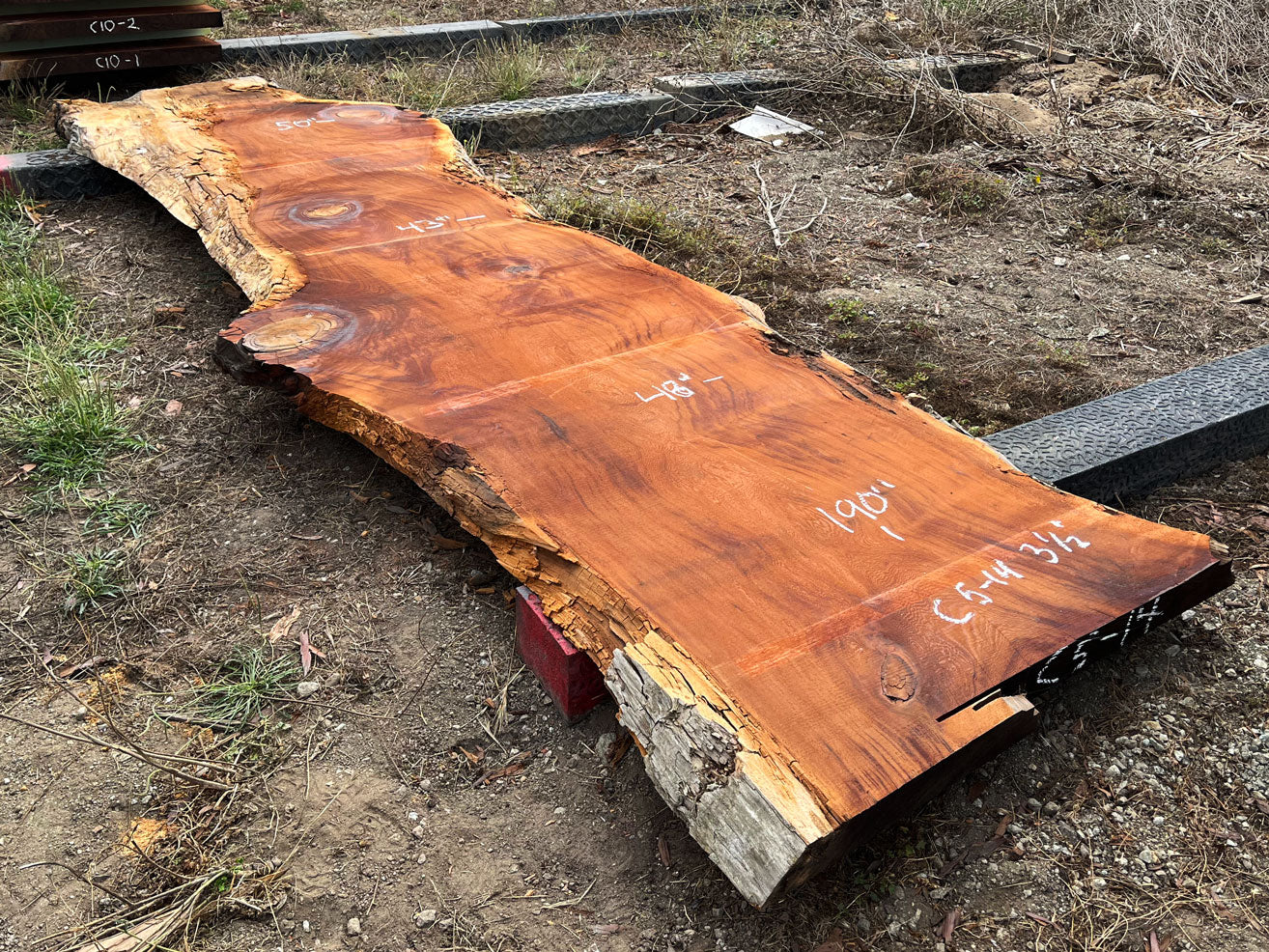 Giant Sequoia Live Edge Slab – 15.83' x 48" x 3.5" – Old Growth, Air-Dried – #C5-14