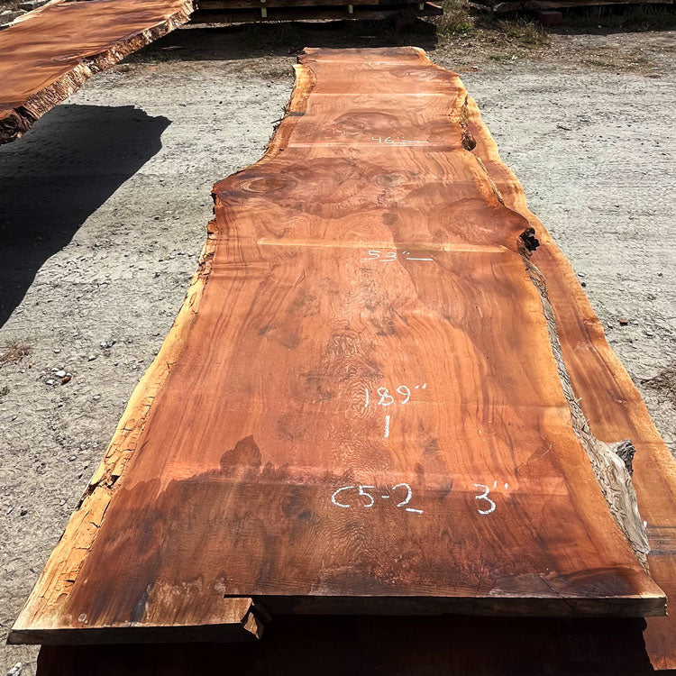 Giant Sequoia Live Edge Slab – 15.75' x 53" x 3" – Old Growth, Air-Dried – #C5-2