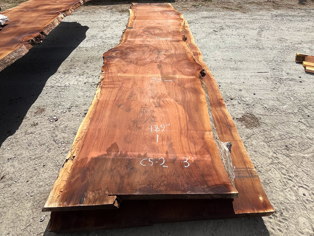 Giant Sequoia Live Edge Slab – 15.75' x 53" x 3" – Old Growth, Air-Dried – #C5-2