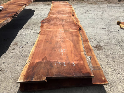 Giant Sequoia Live Edge Slab – 15.75' x 53" x 3" – Old Growth, Air-Dried – #C5-2