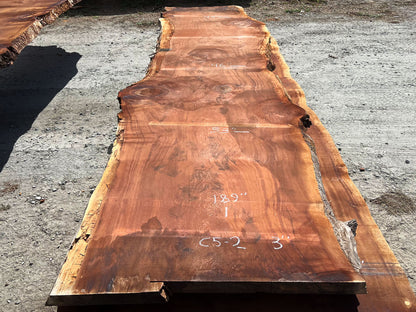 Giant Sequoia Live Edge Slab – 15.75' x 53" x 3" – Old Growth, Air-Dried – #C5-2