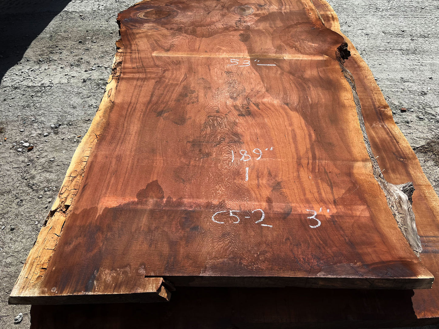 Giant Sequoia Live Edge Slab – 15.75' x 53" x 3" – Old Growth, Air-Dried – #C5-2