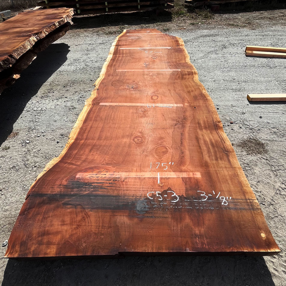 Giant Sequoia Live Edge Slab – 16.17' x 61" x 3.125" – Old Growth, Air-Dried – #C5-3