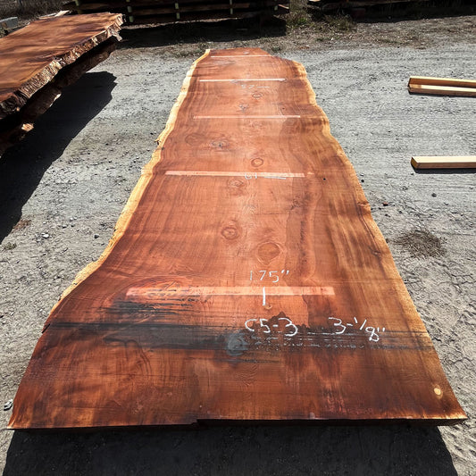 Giant Sequoia Live Edge Slab – 16.17' x 61" x 3.125" – Old Growth, Air-Dried – #C5-3